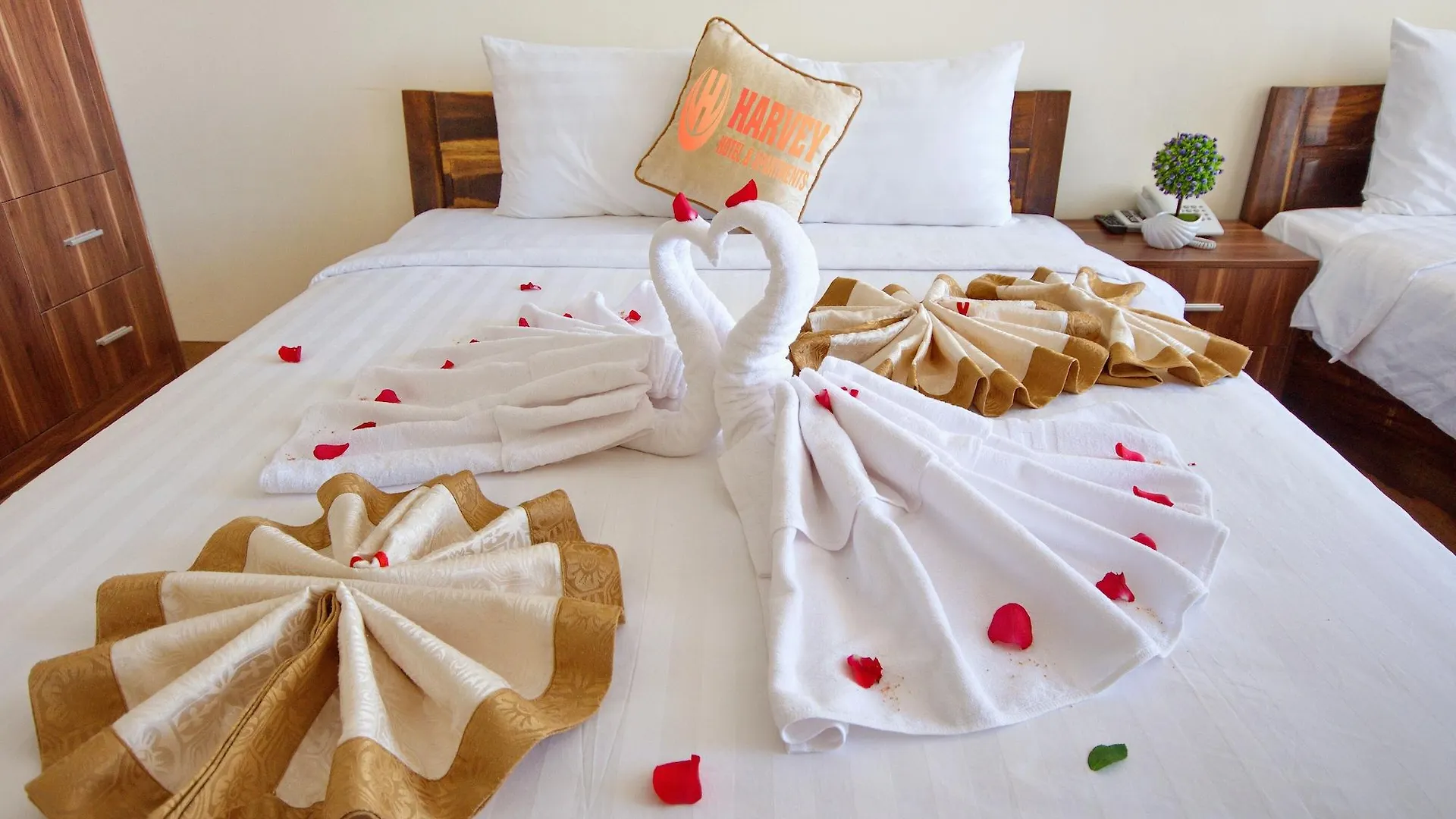 Harvey Hotel & Apartments Нячанг 3*,  Вьетнам